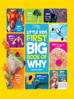 cover image of Little Kids First Big Book of Why